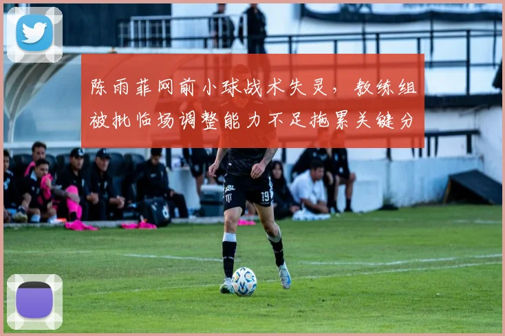 陈雨菲网前小球战术失灵,教练组被批临场调整能力不足拖累关键分